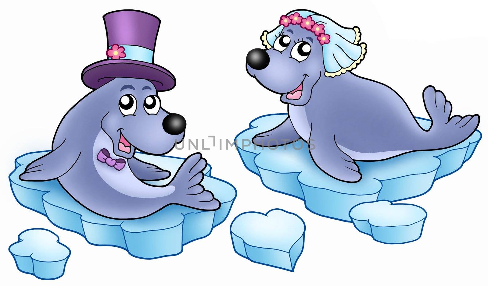 Wedding with cute seals by clairev