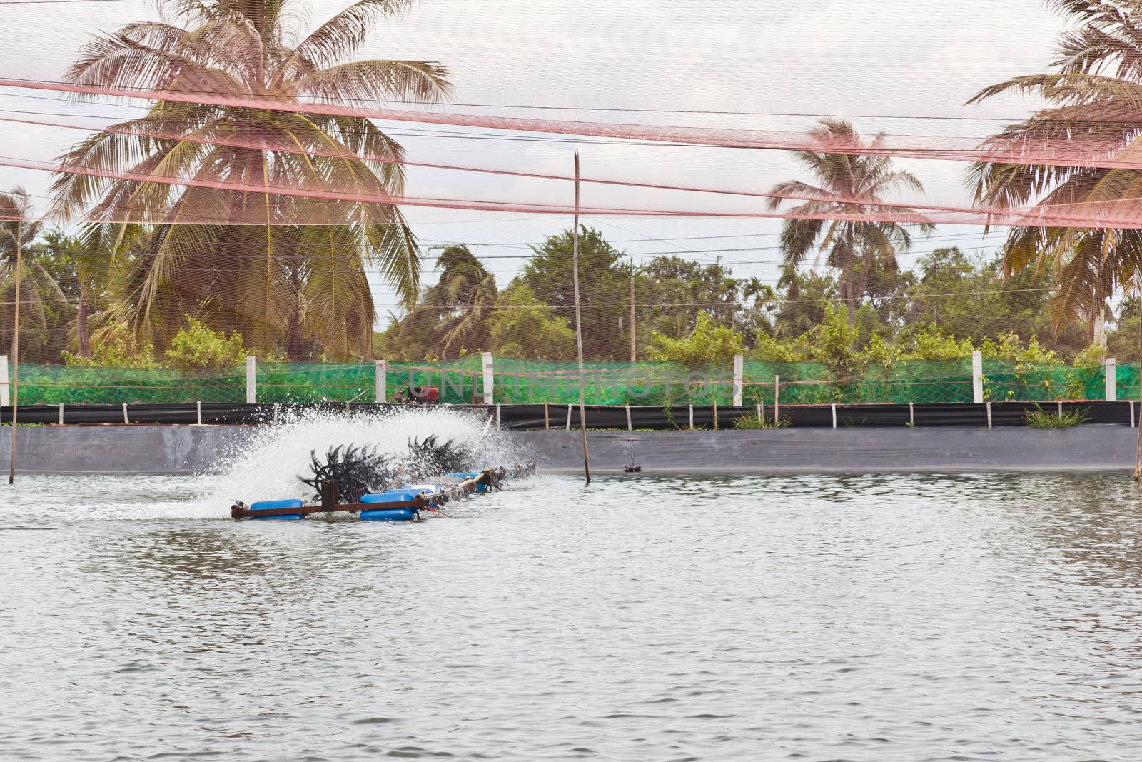 Water treatment of Shrimp Farms covered with nets for protection from bird, ChaChengSao, Thailand