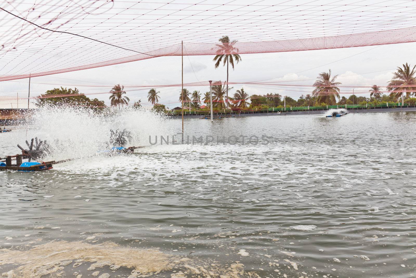 Water treatment of Shrimp Farms covered with nets for protection from bird, ChaChengSao, Thailand