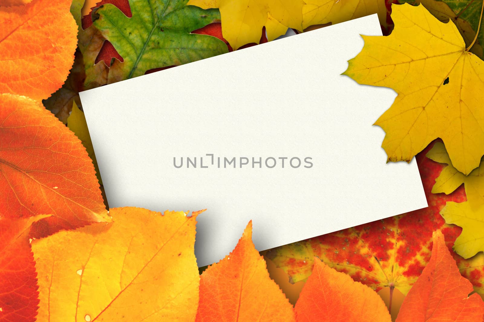 Autumn card by johnnychaos
