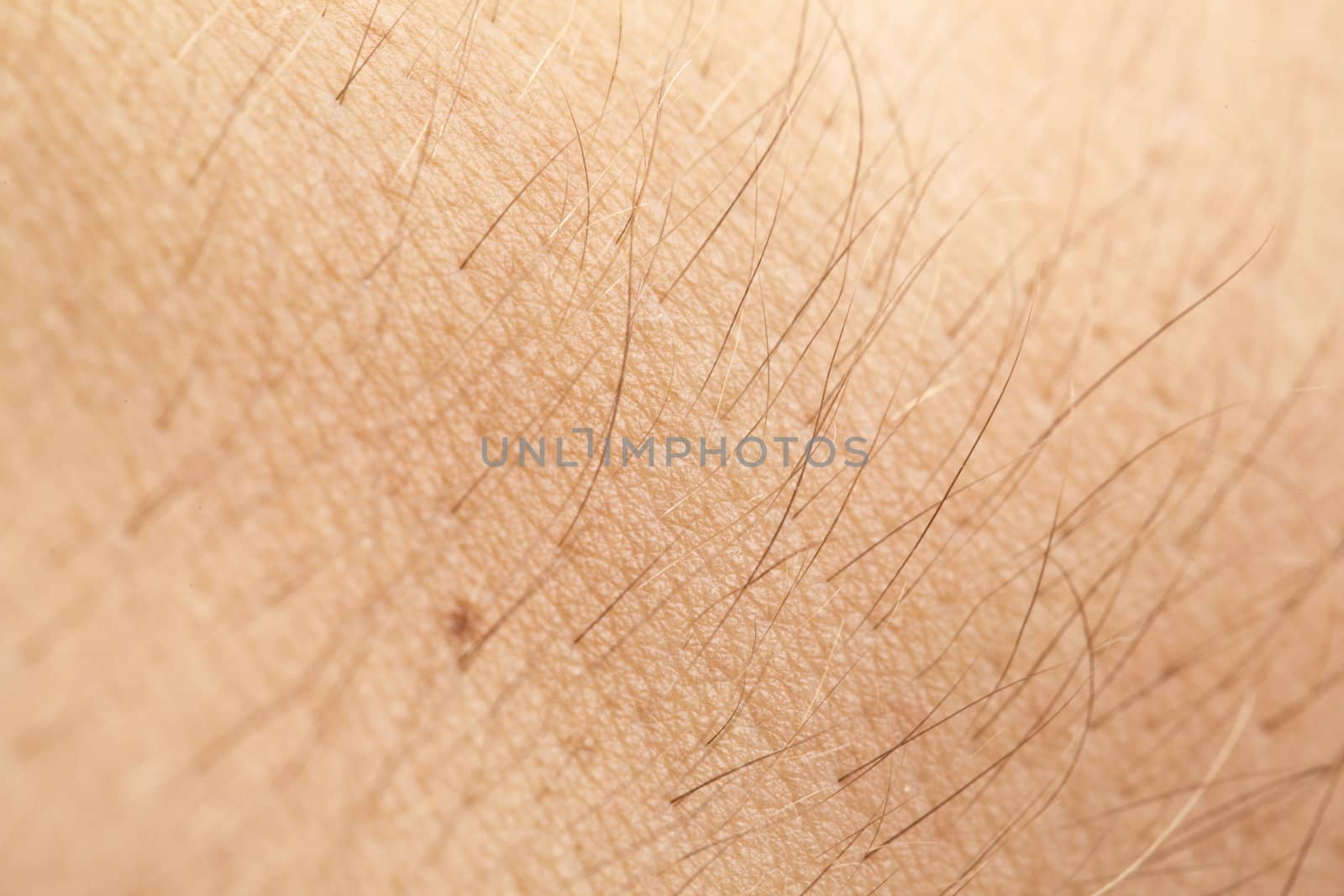 An extreme closeup of male skin (arm)