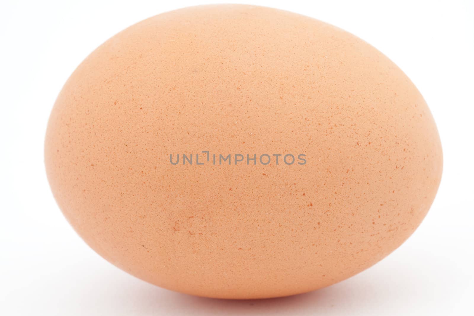 Egg in high quality, iso 100 ...