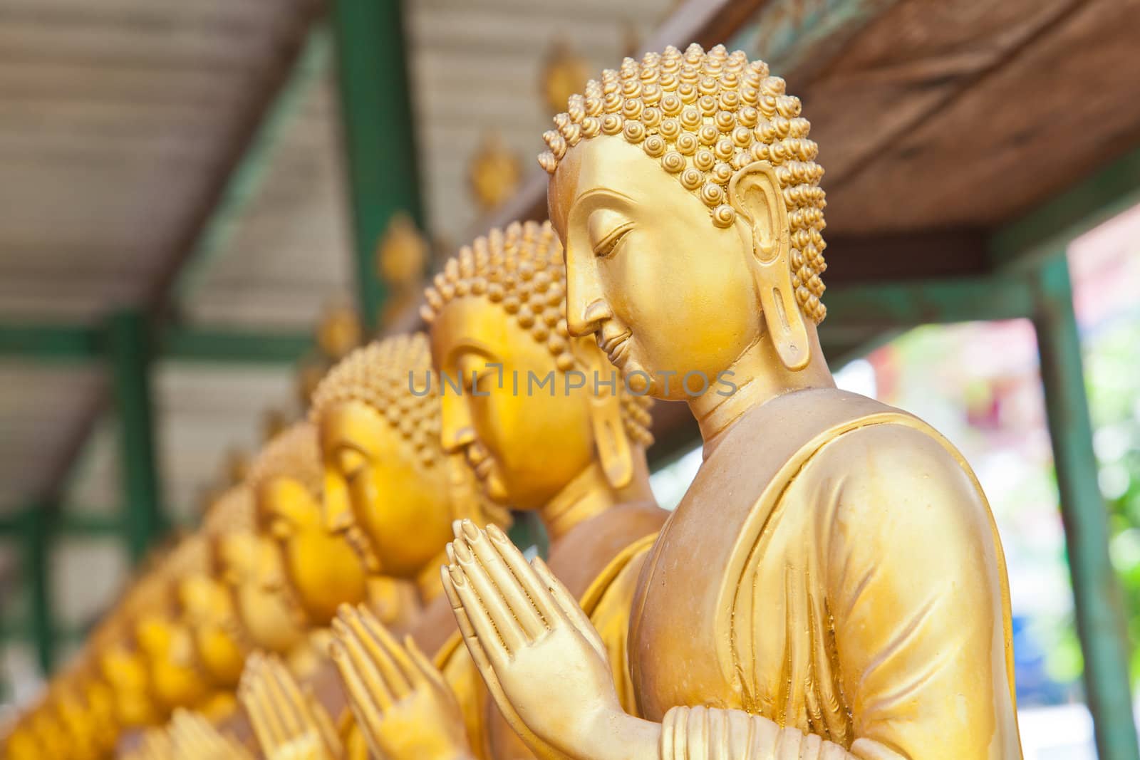 Golden Buddha statue in Thaland temple  by FrameAngel