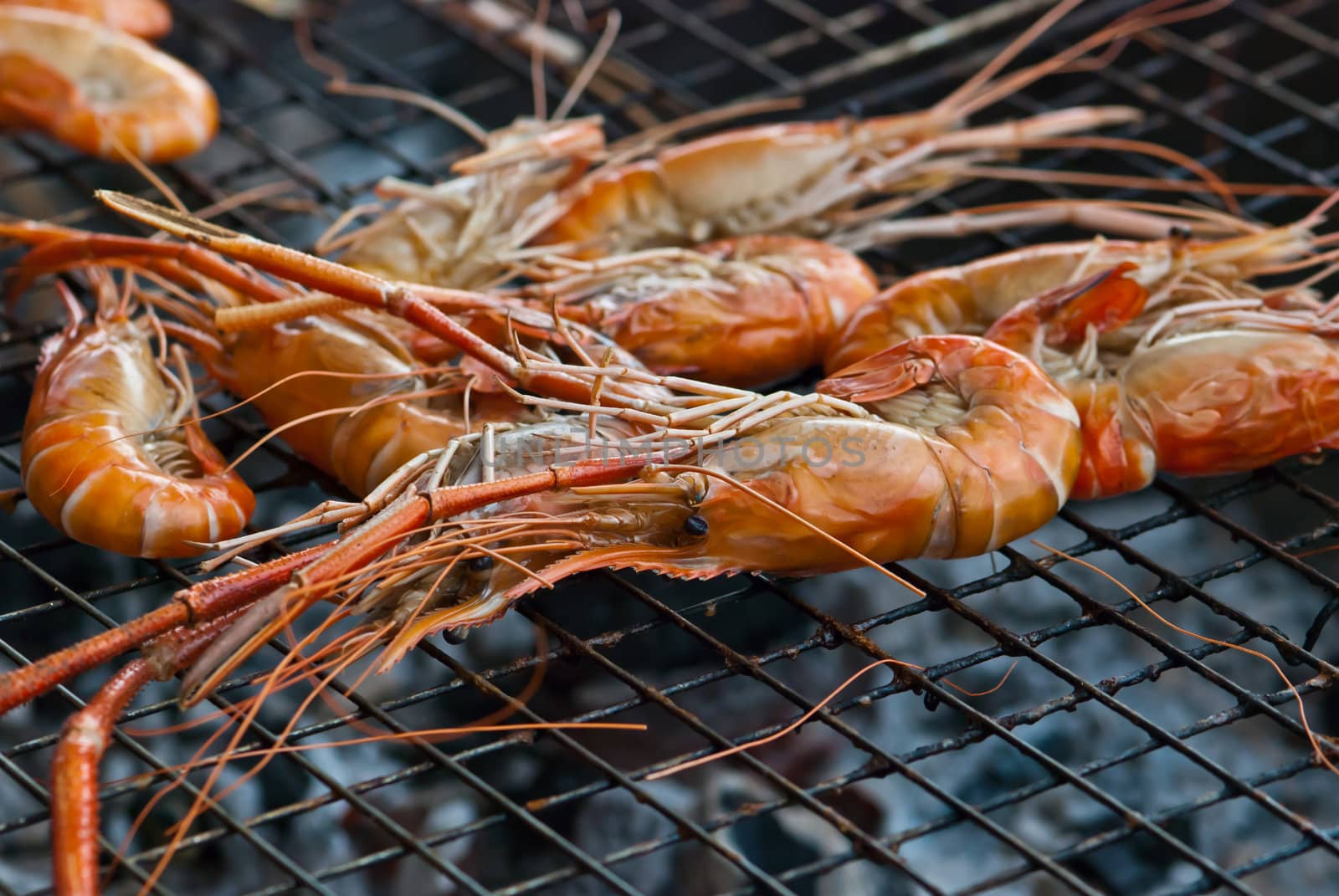 Nice and juicy large prawns grilled