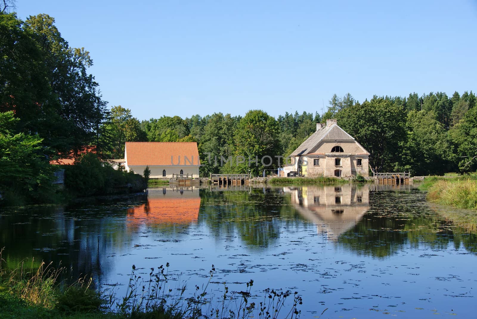 Landscape with houses and a  forest on coast of a pond