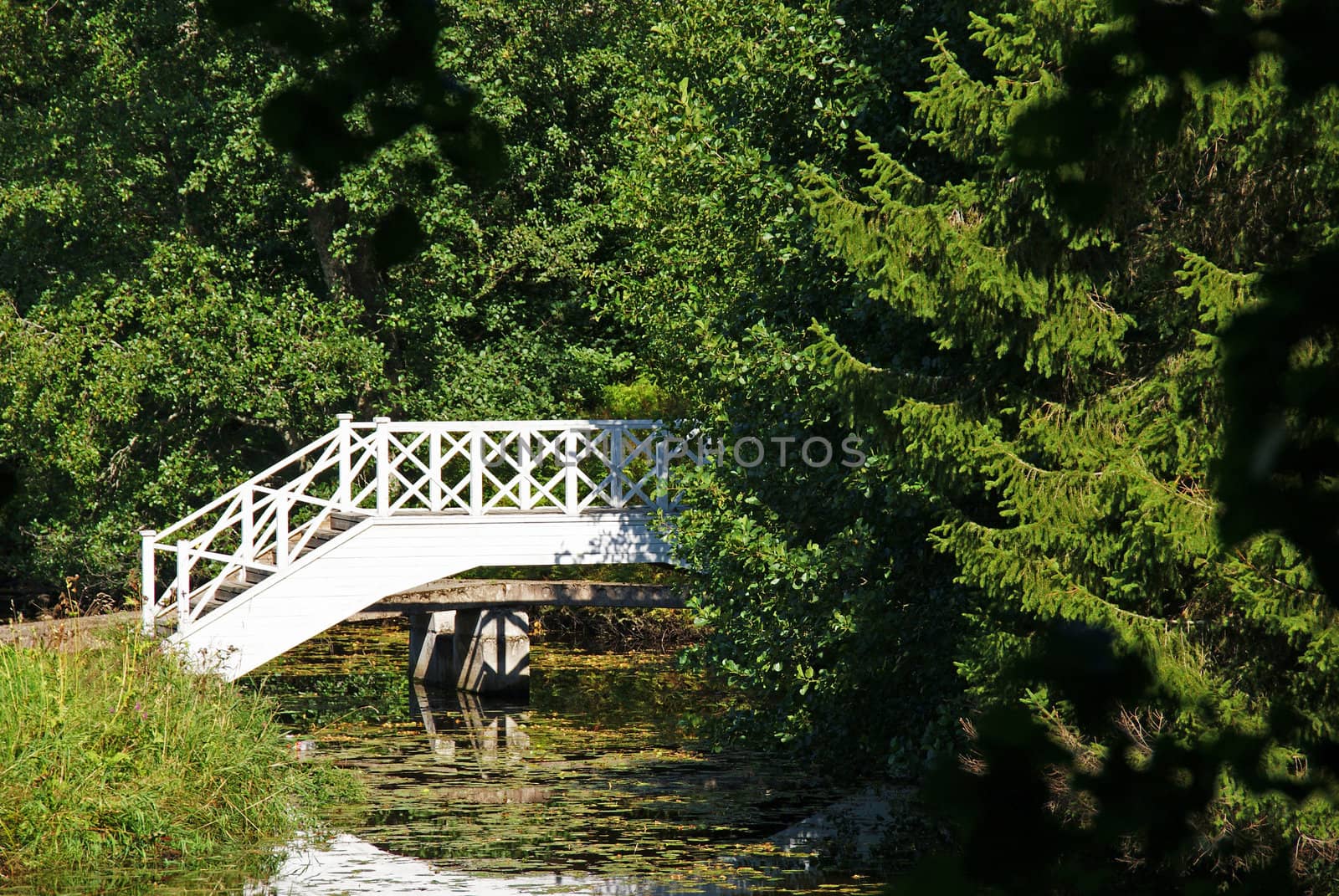  Bridge by andrei_kolyvanov