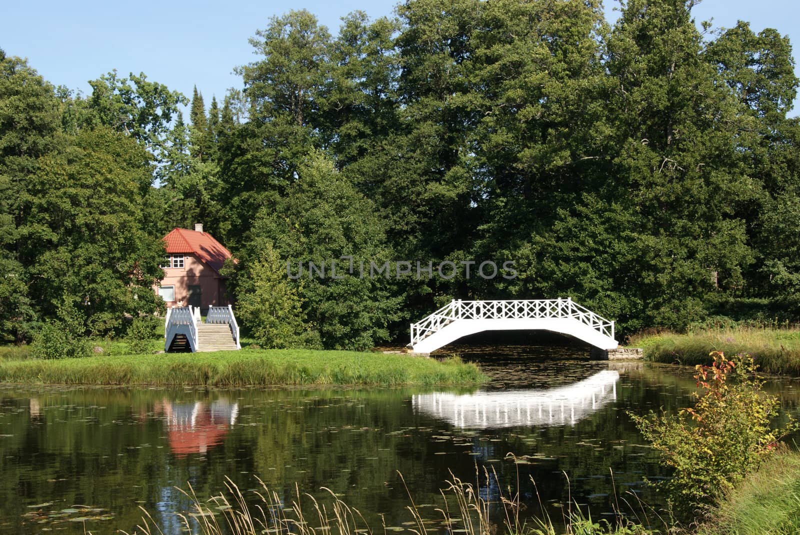 The white bridge on a background of lake and trees