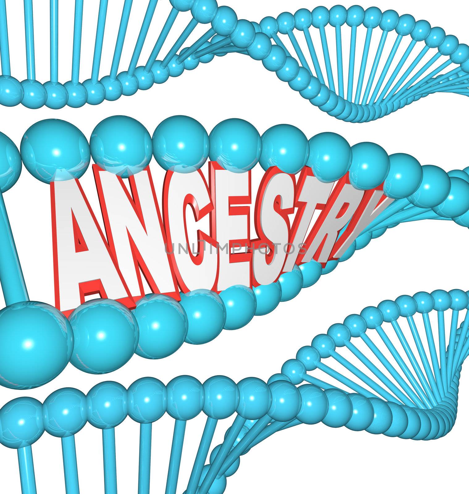 The word Ancestry in a DNA strand representing the search for your past by researching your genetics finding clues to your heritage and ancestors