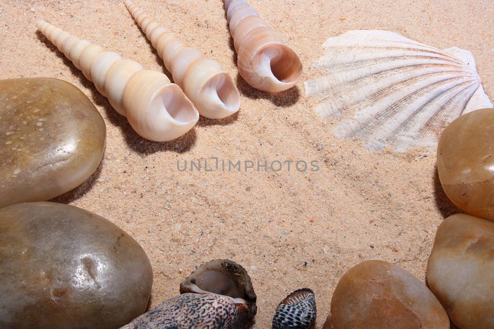 Sea sand, stones and cockleshells by VIPDesignUSA