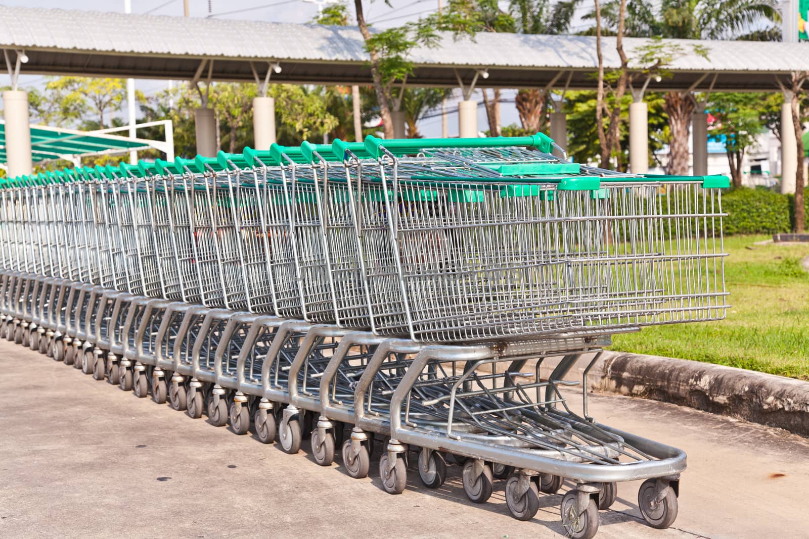 Shopping carts  by FrameAngel