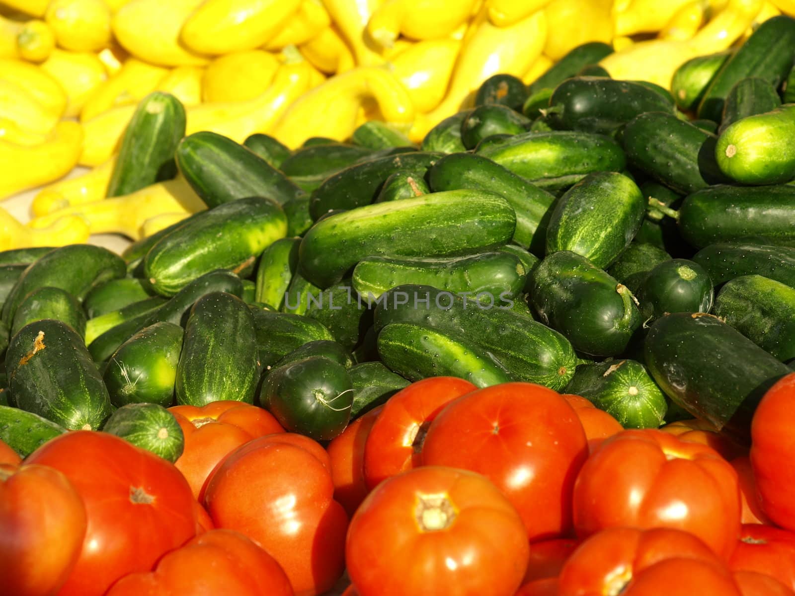 Vegatables for sale at the farmers market