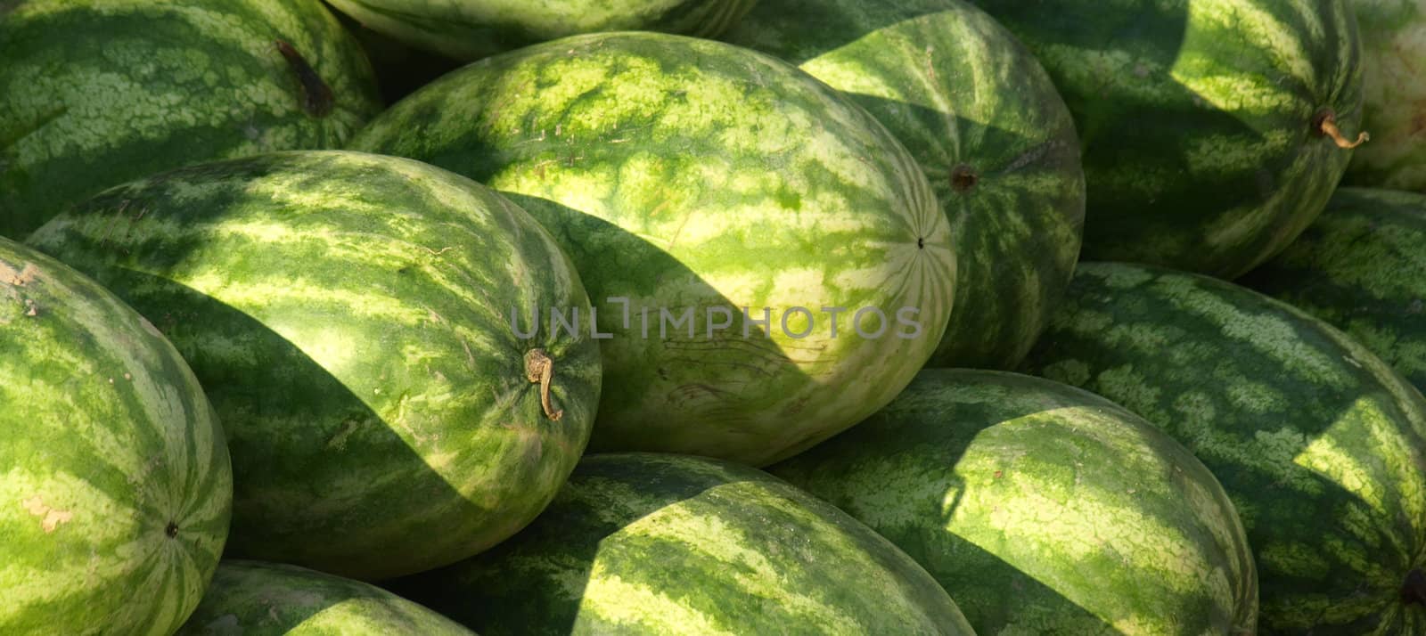 Watermelon for sale at the market during the summer