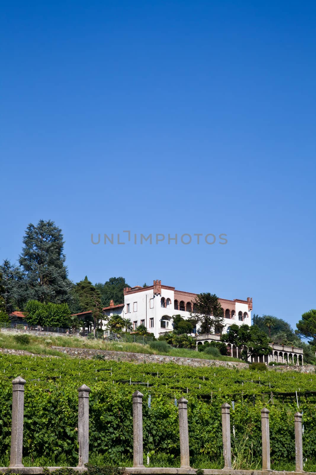 Tuscany, Italy. Italian luxury villa in the country, close to a Lambrusco vineyard