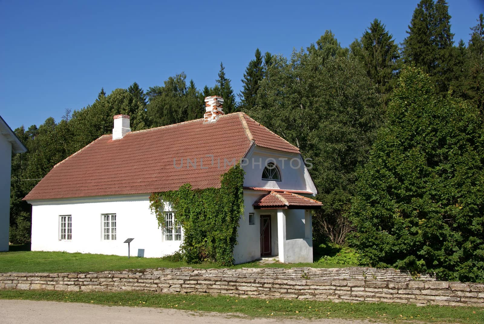 The house of manor on a background of trees