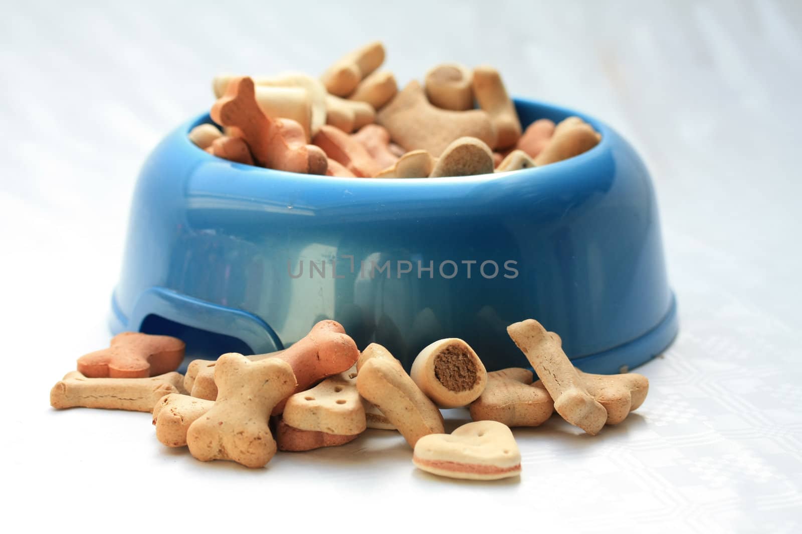 Delicious dog cookies in a blue bowl