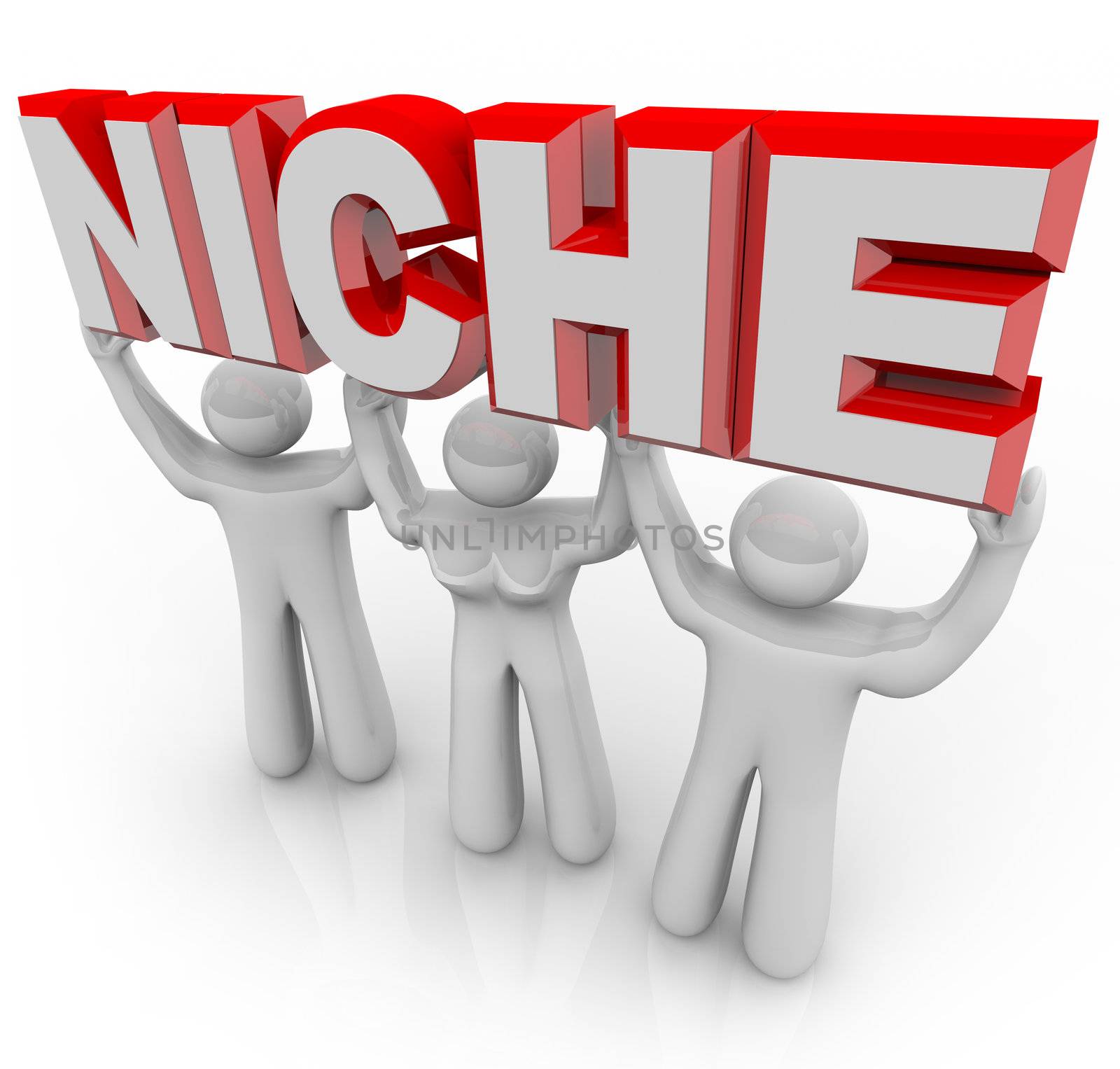 A team of people lift the word Niche symbolizing a unique group of customers who can be marketed and sold to by nature of their special wants and needs