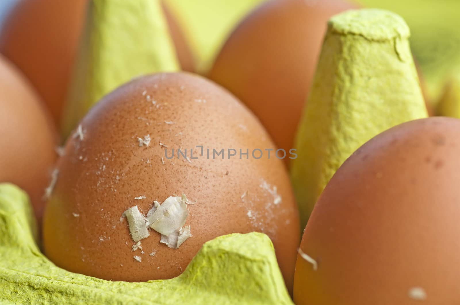 egg by Jochen