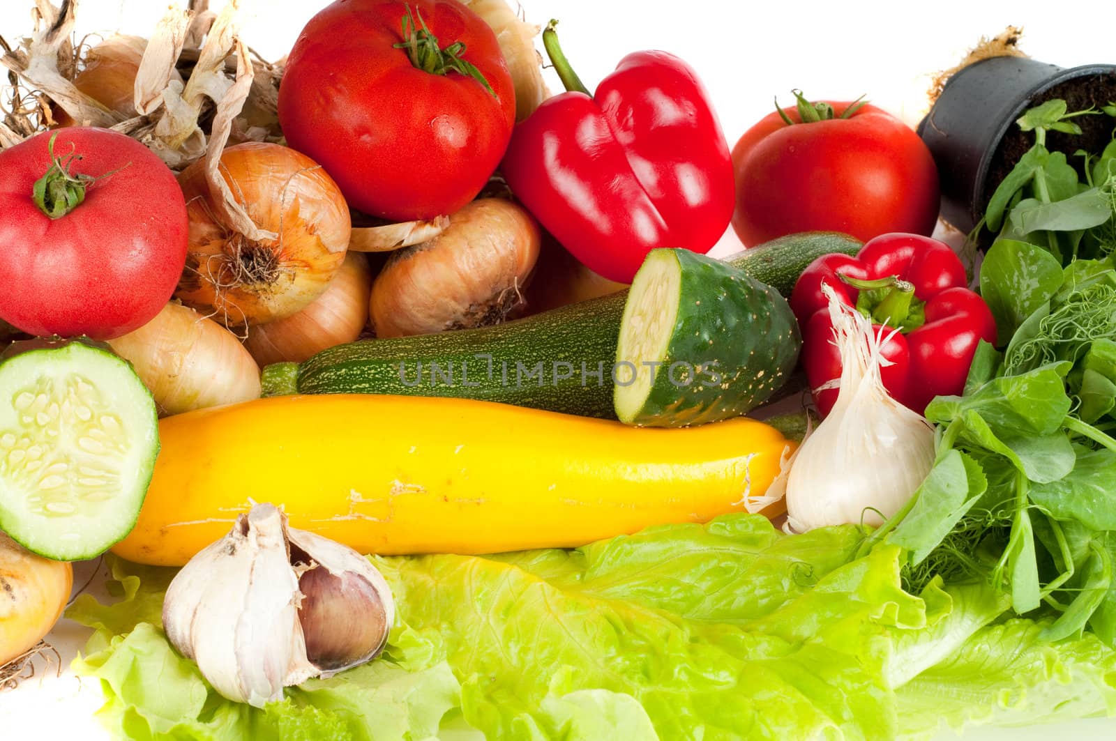 Shot of group of vegetables in studio