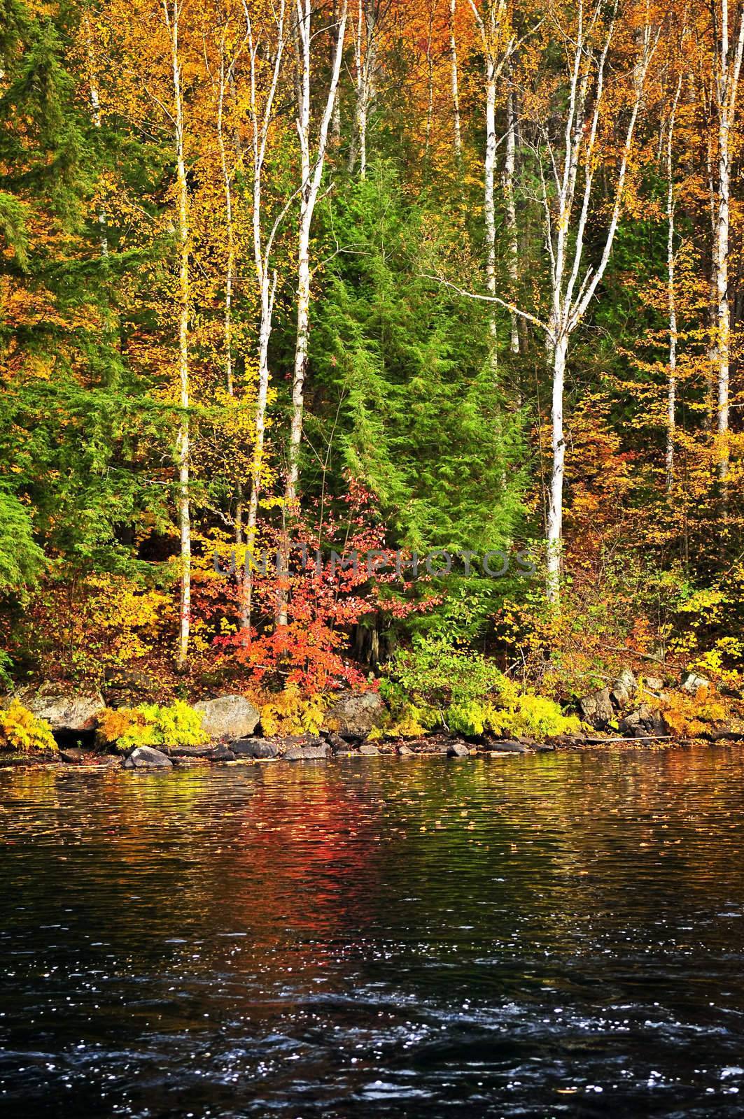 Fall forest and lake shore by elenathewise