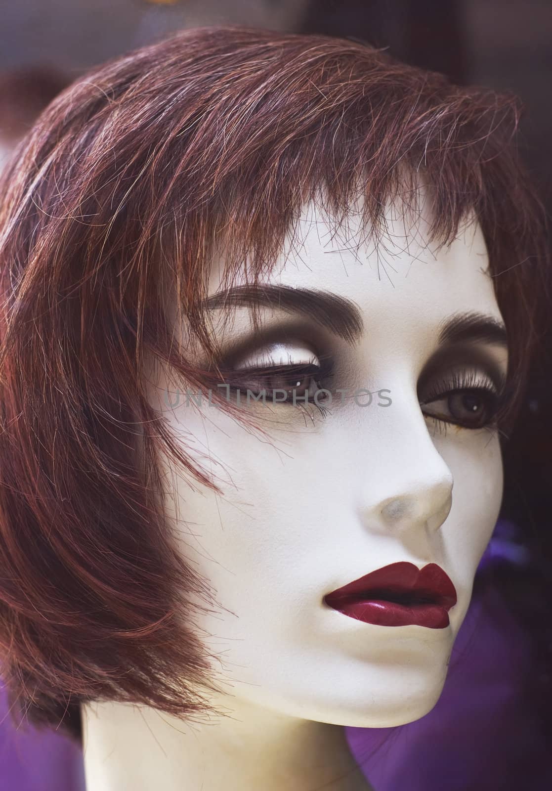 Close up of a beautiful mannequin.             
