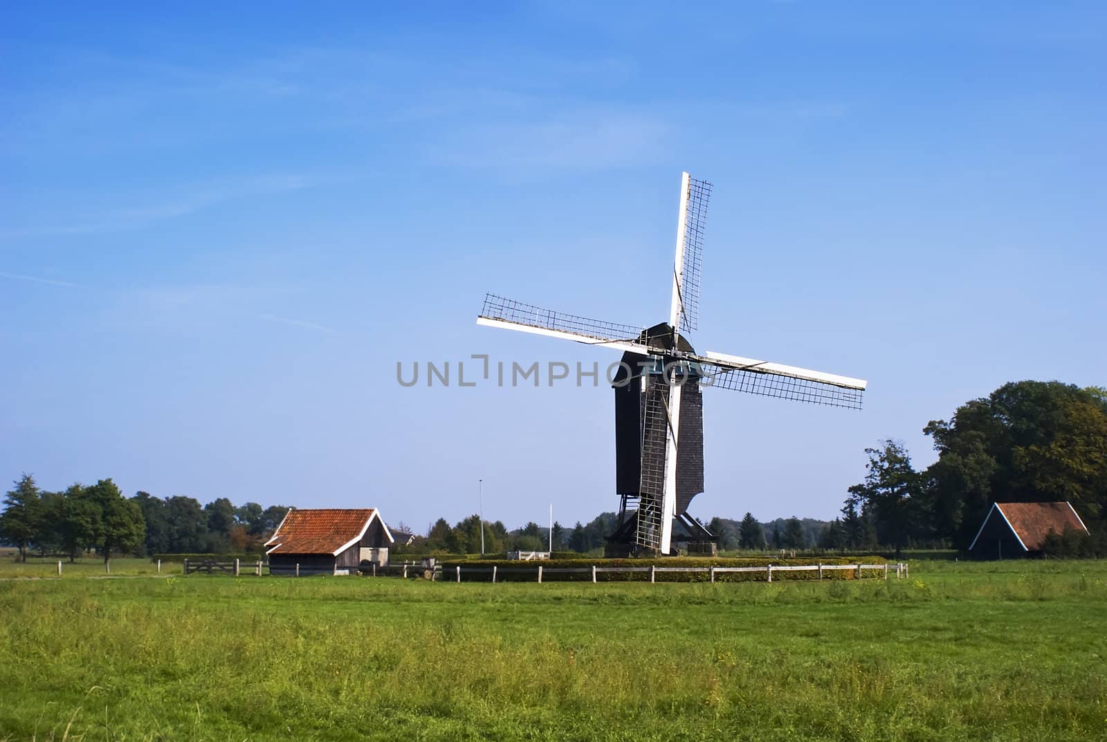 Dutch windmill in rural scene, green grass, blue sky.