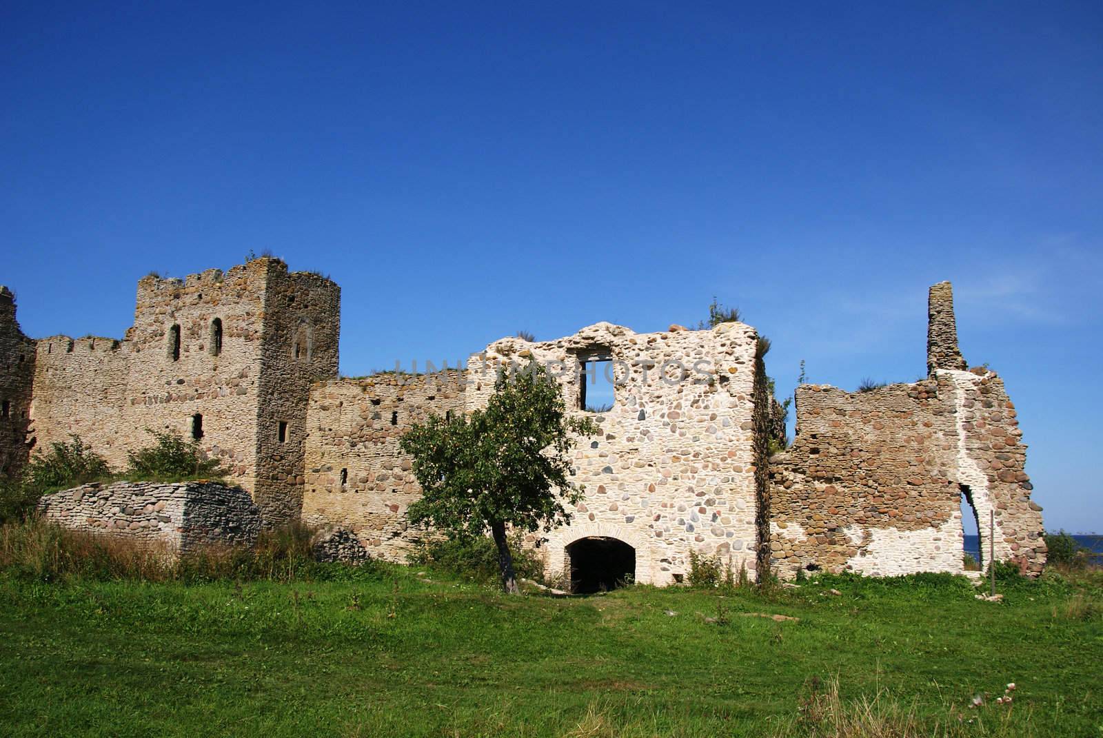 Ruins of a castle  by andrei_kolyvanov