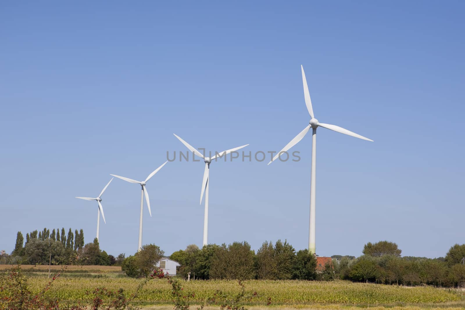 A row of wind turbines at a wind farm