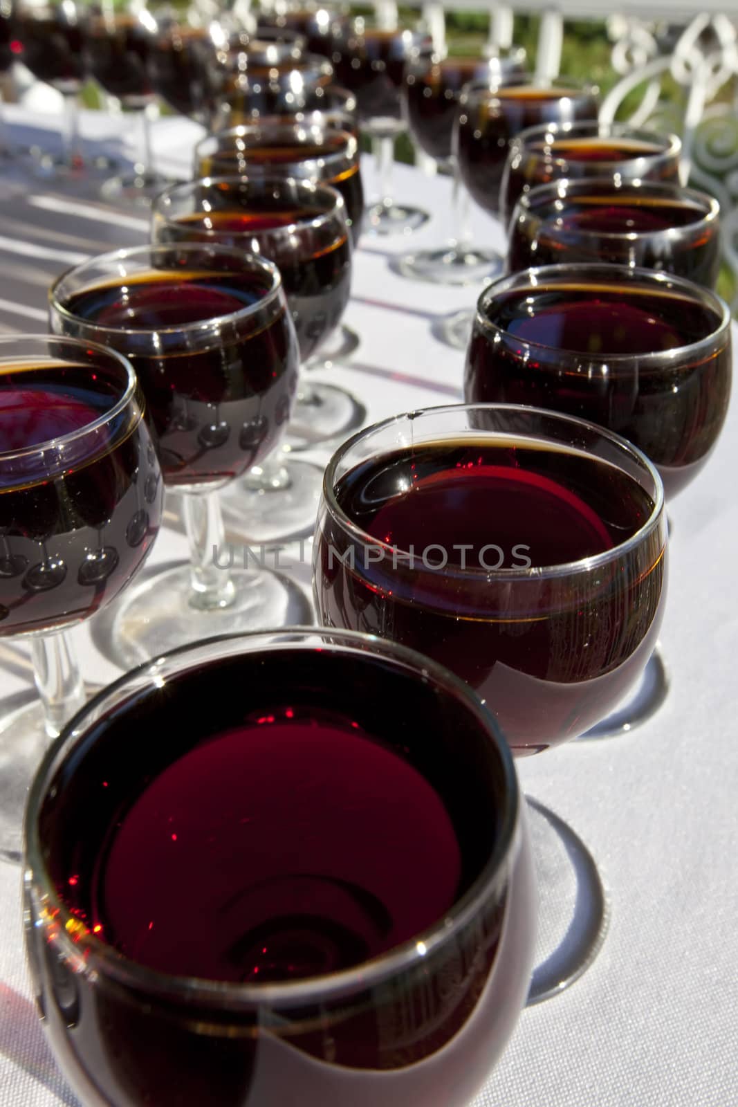 Rows of wineglasses filled with red wine