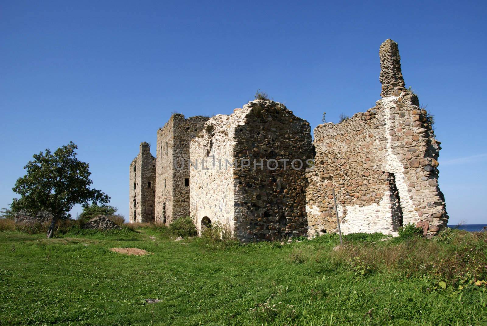 Ruins of a castle  by andrei_kolyvanov