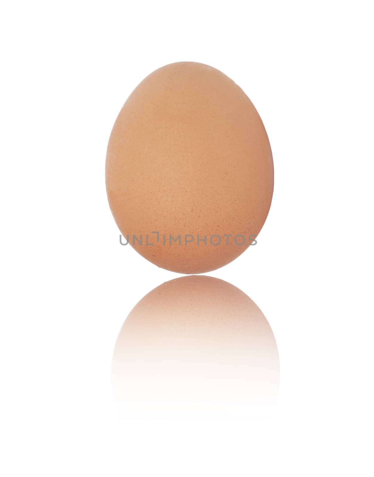 One egg on white background 