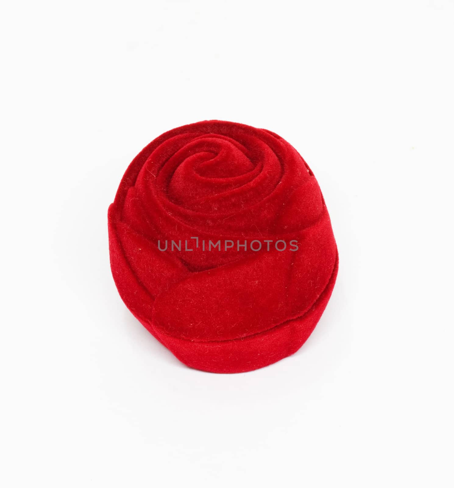Red rose on the white background by schankz