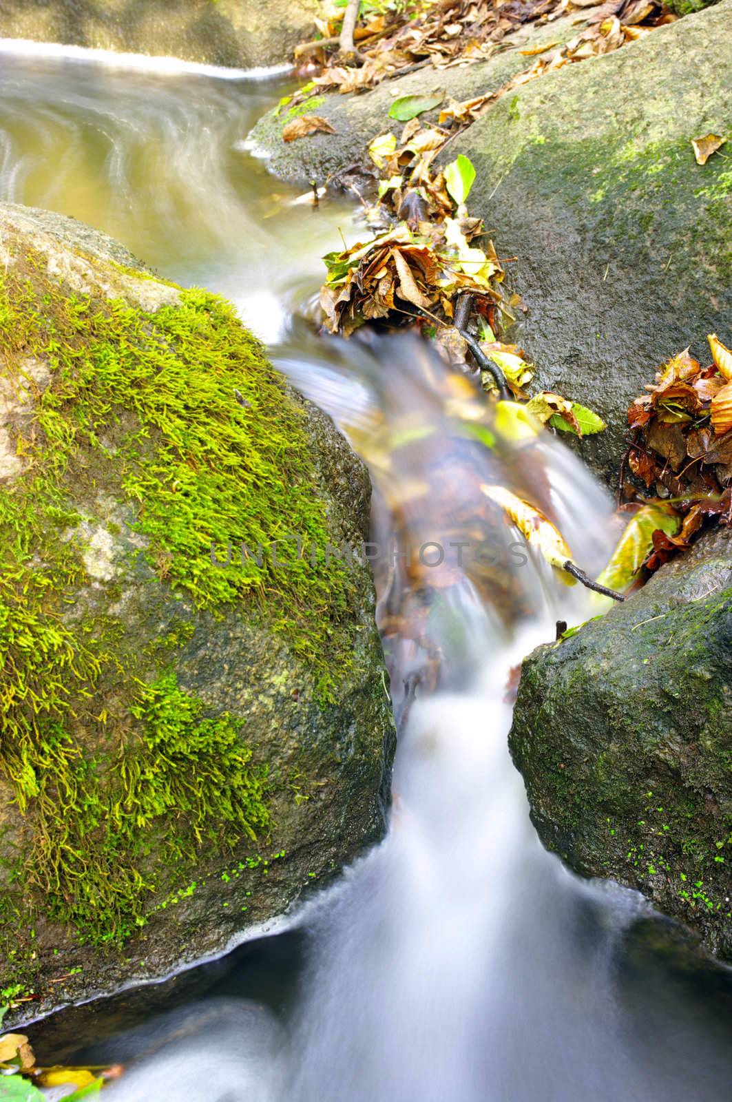 The beautiful stream in forest, autumn, long exposure
