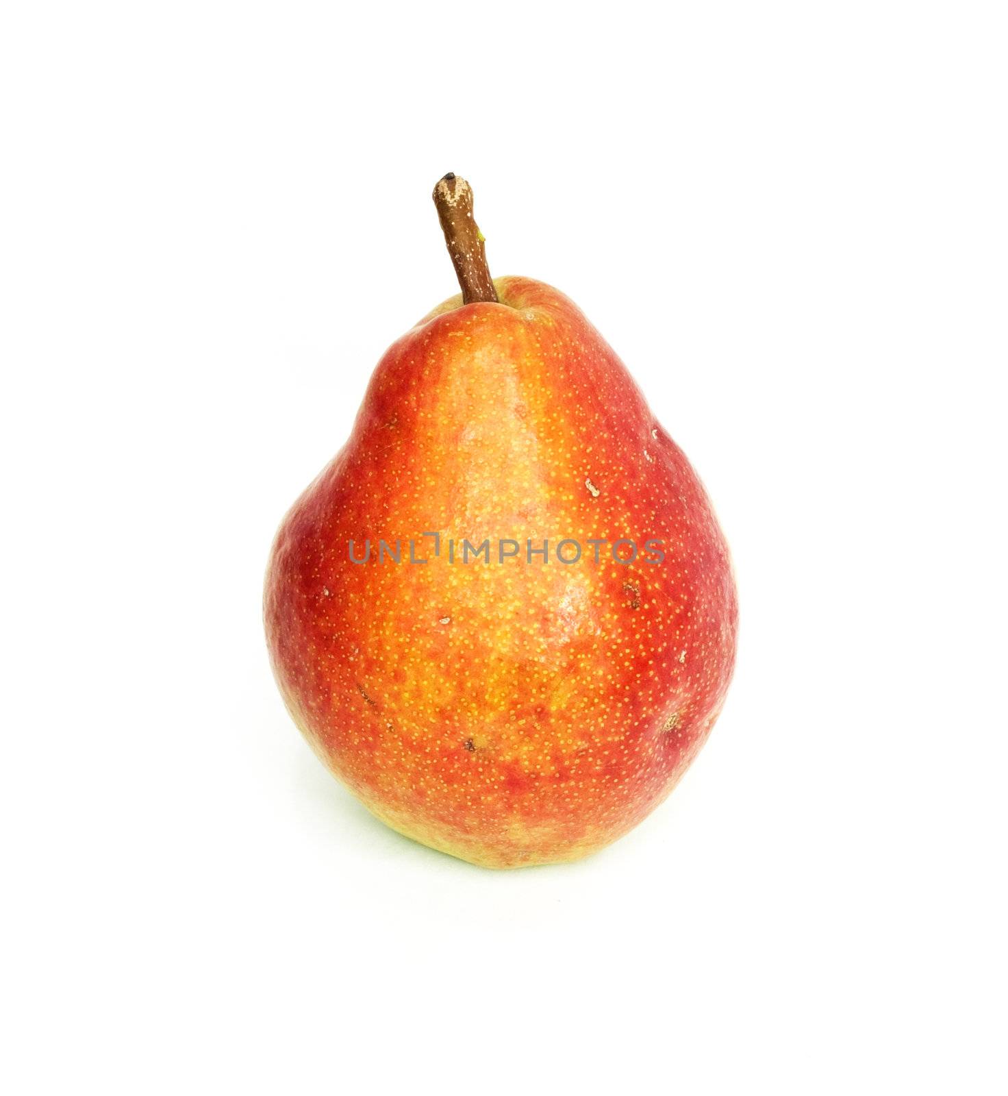 red pear by schankz