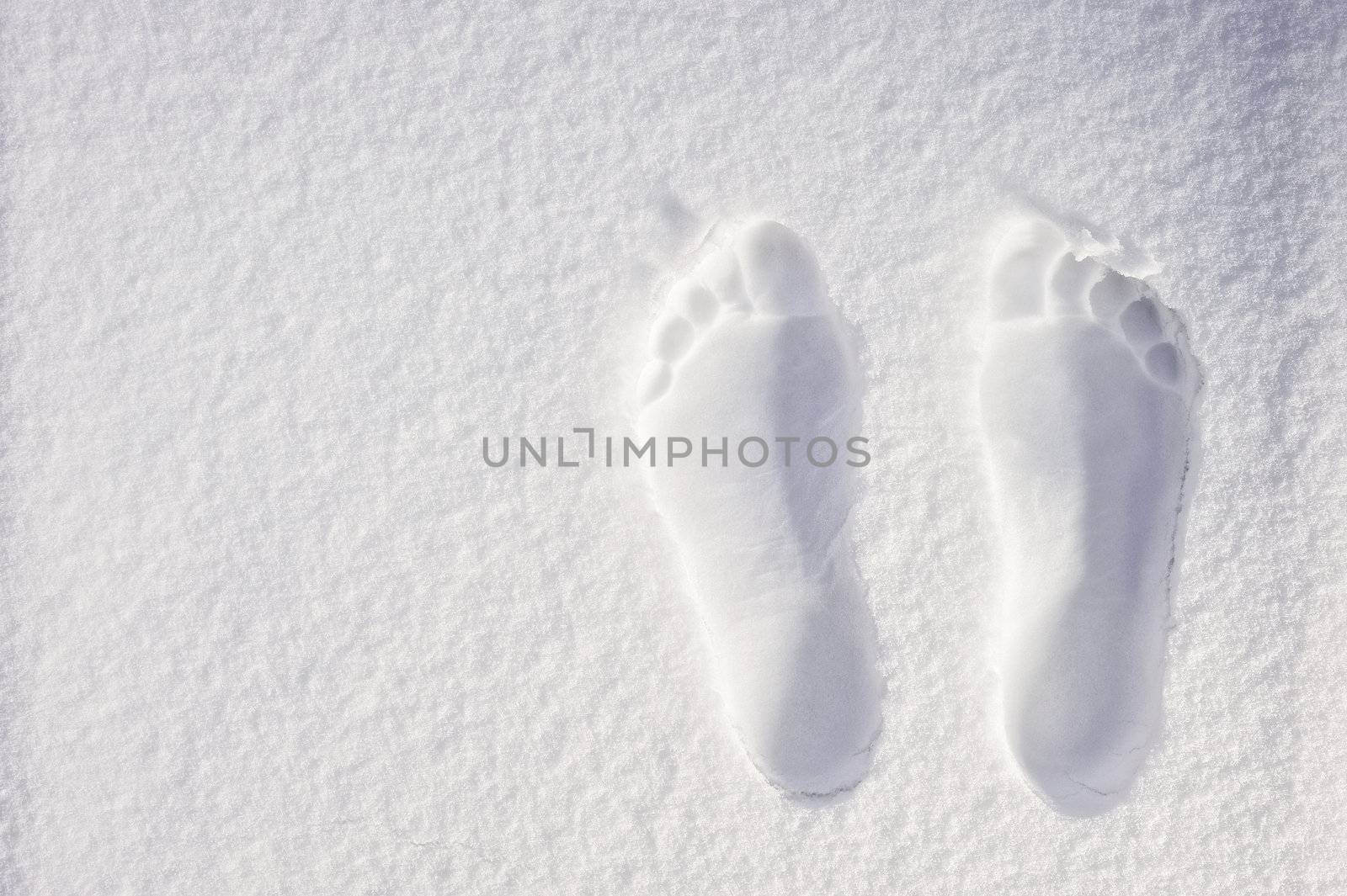 Footprints of the legs on the white sand