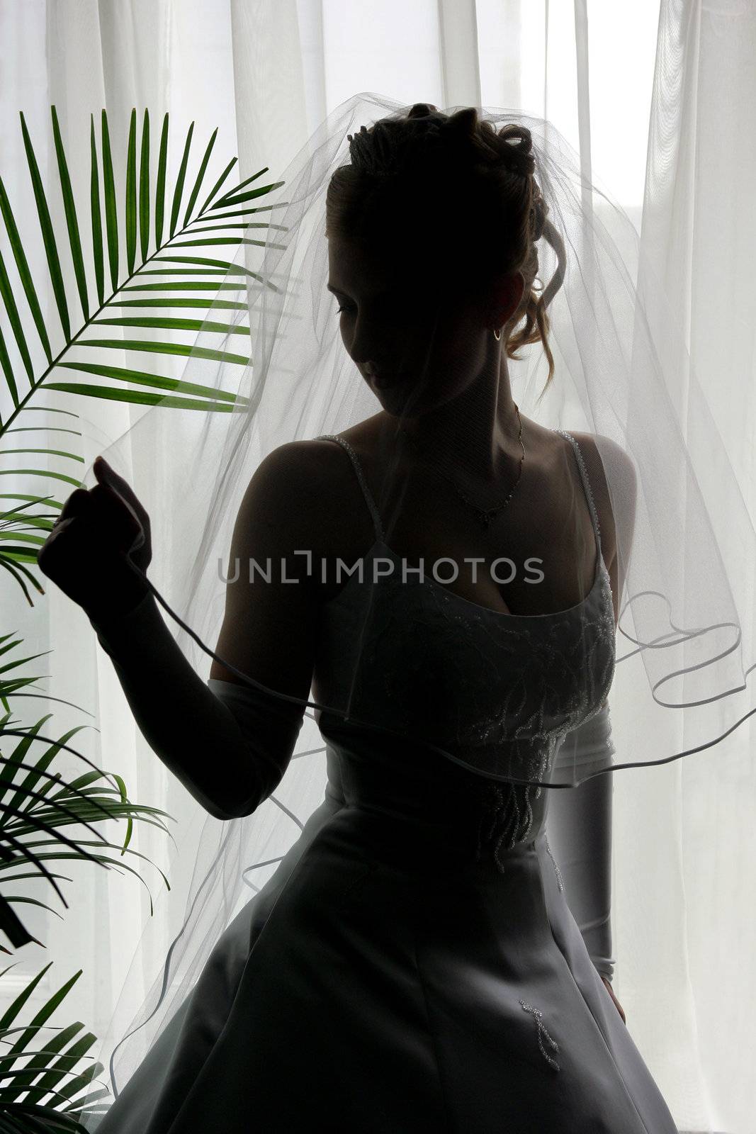 Silhouetted bride in veil by speedfighter