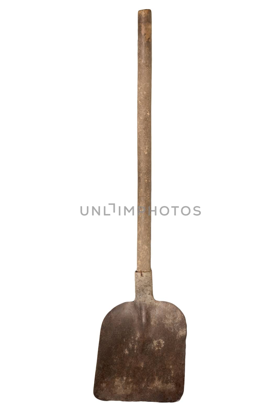 Shovel Isolated on a White Background. 