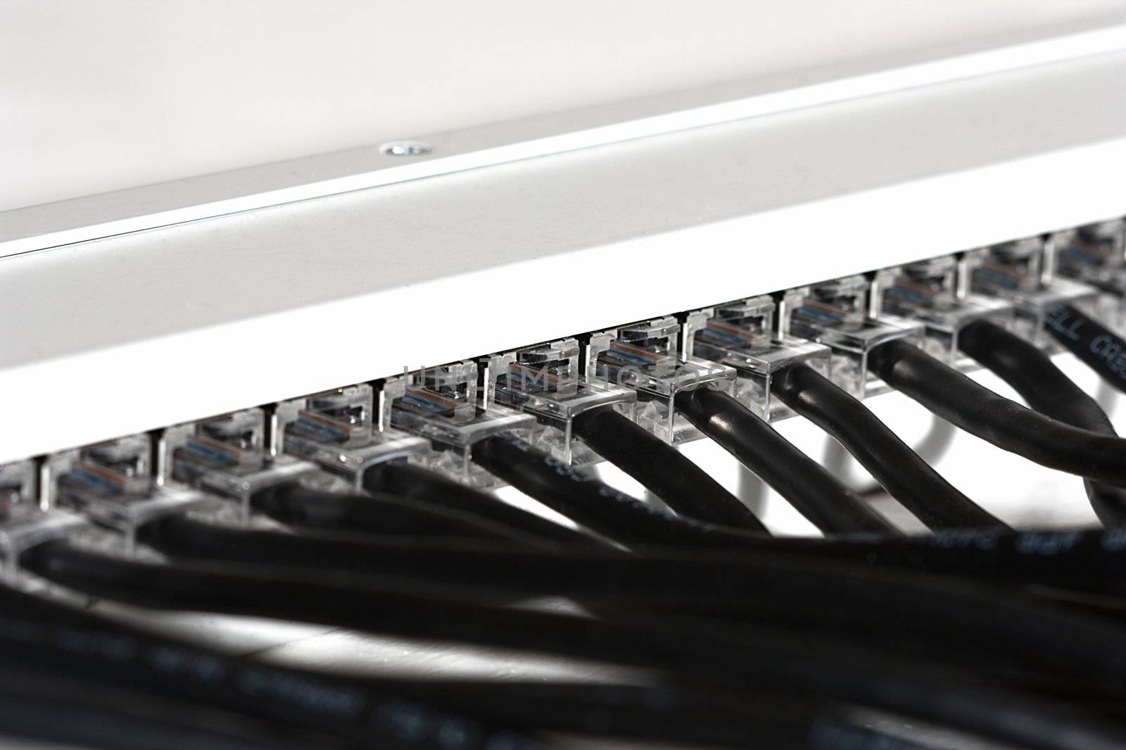 RJ45 patch panel isolated over white background