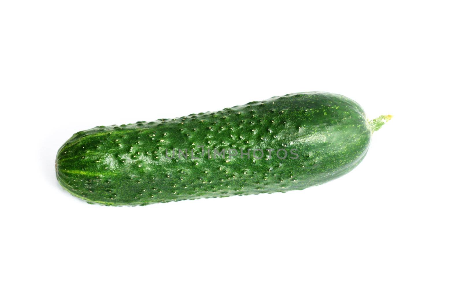 Isolated fresh domestic cucunber 