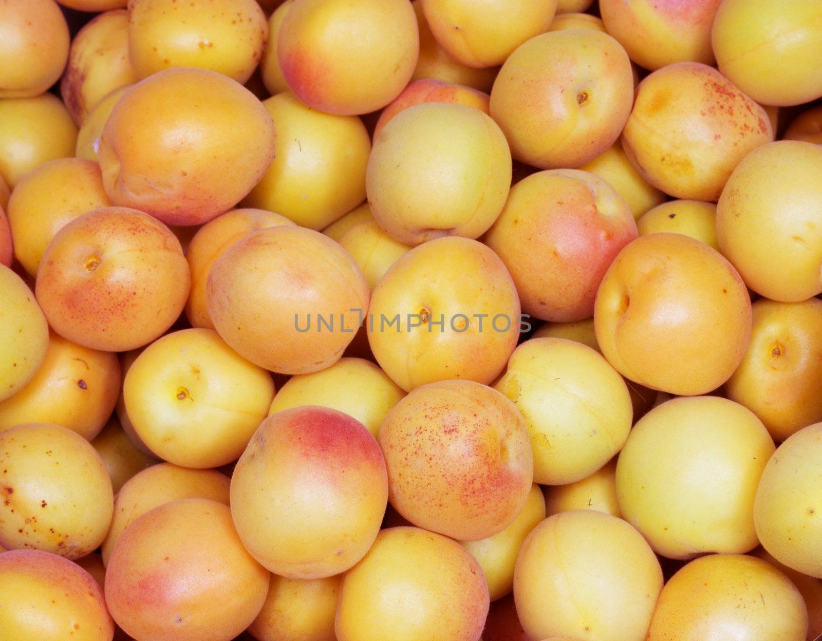 Fresh natural apricot background  by schankz