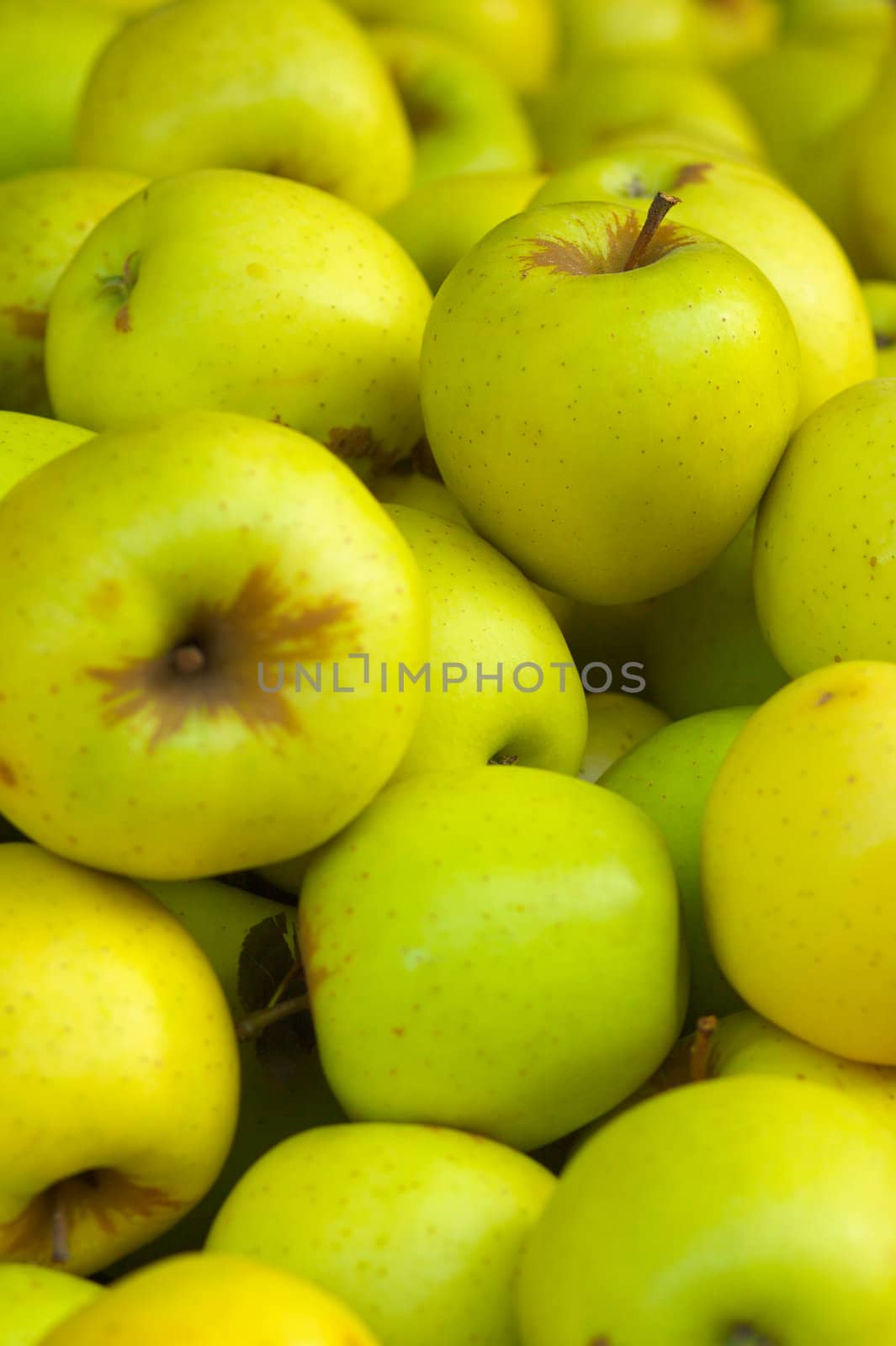 Goldent Delicious Apples by bobkeenan