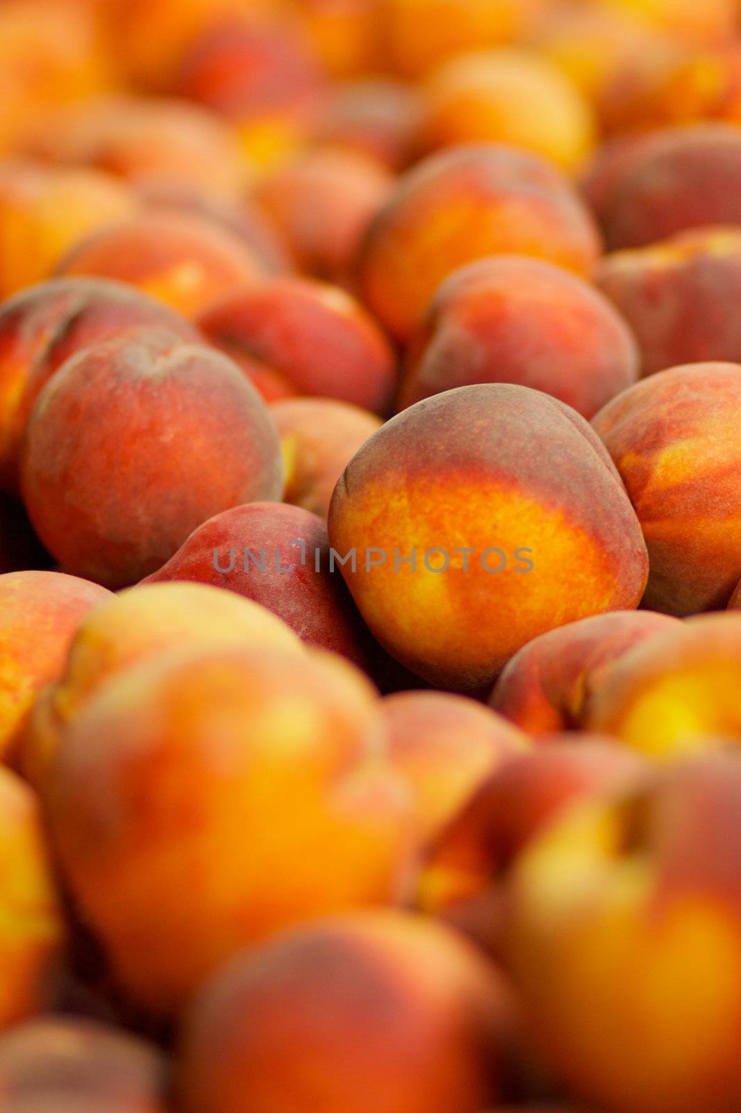 Pile of peaches by bobkeenan