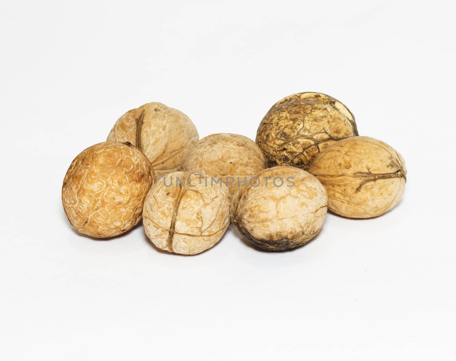 walnuts isolated on white bacground 