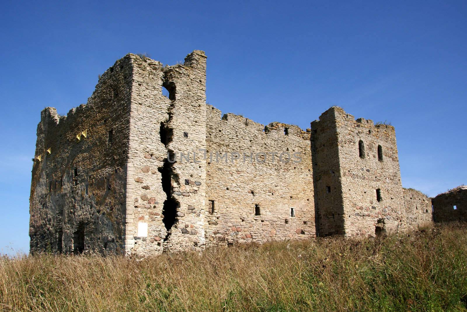 Ruins of a castle  by andrei_kolyvanov