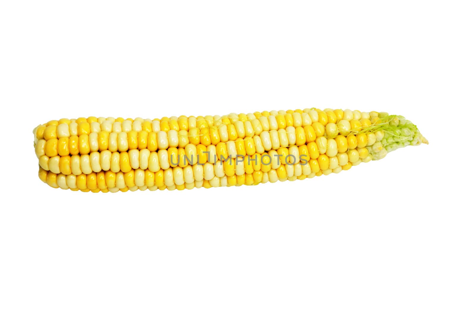 Corn isolated on white background  by schankz