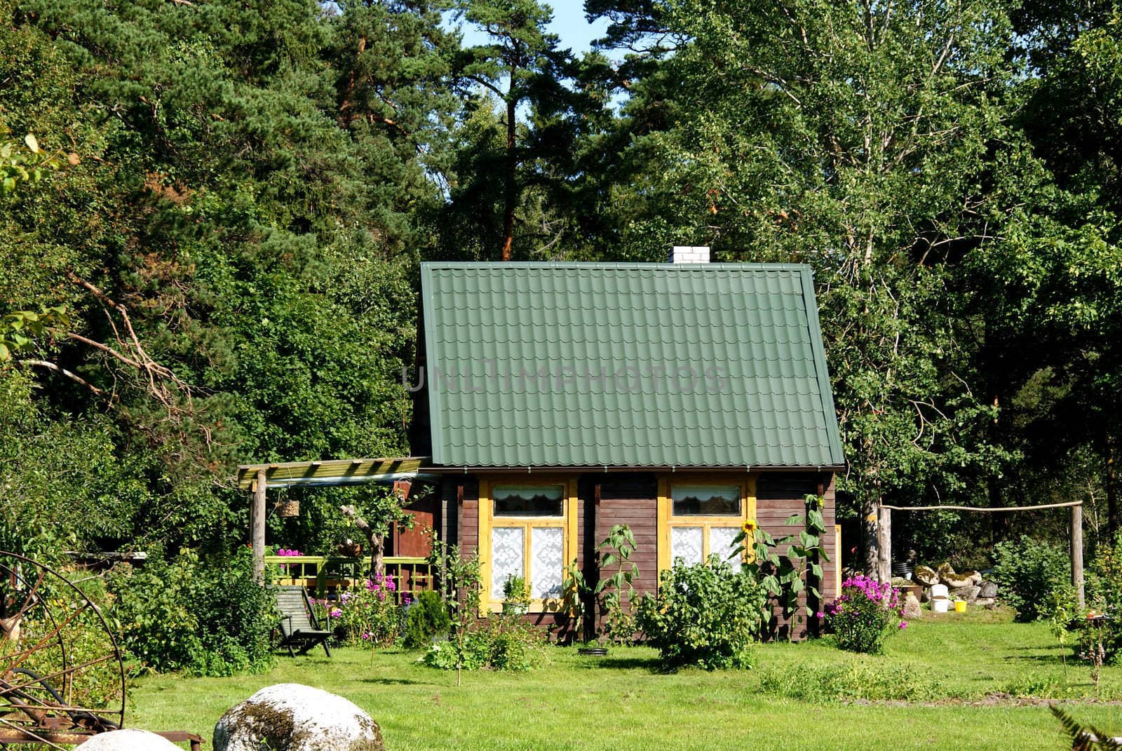 The small wooden house on a background of a forest