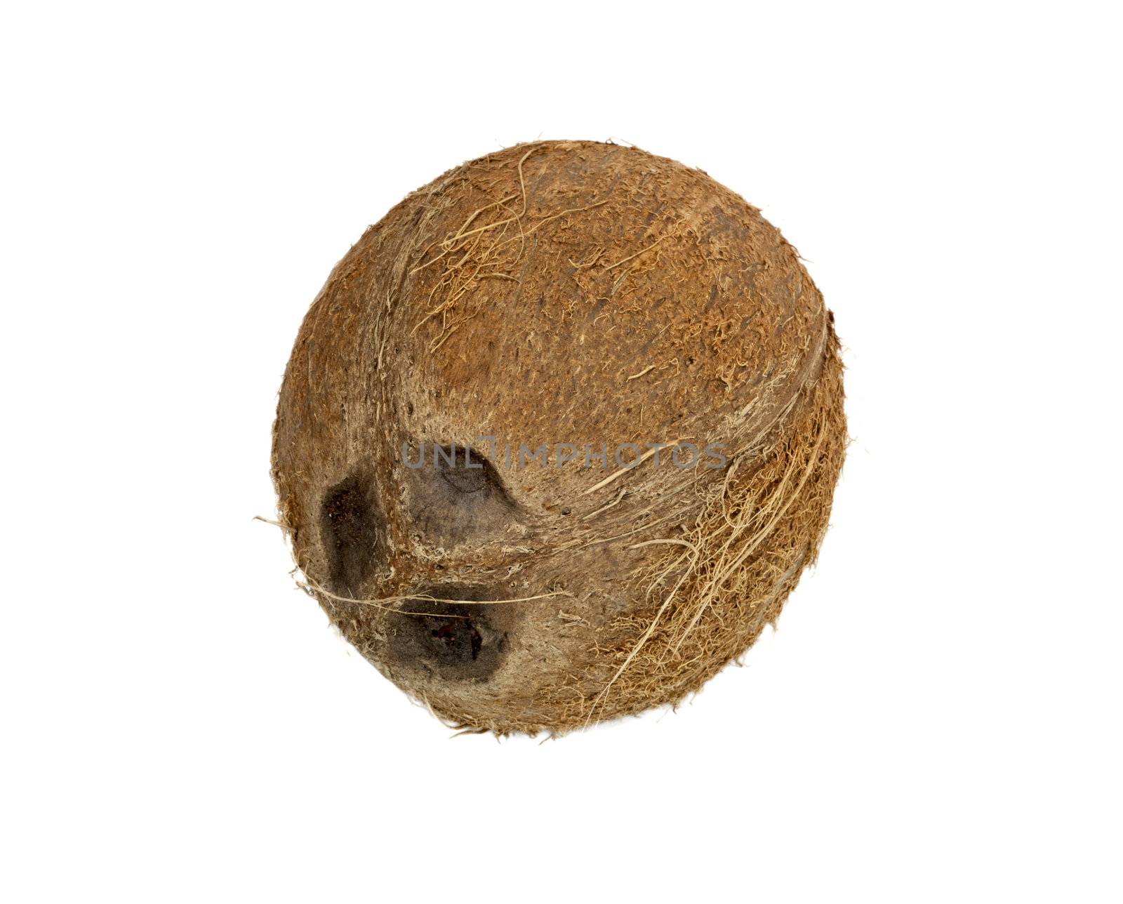 coconut isolated on white background 