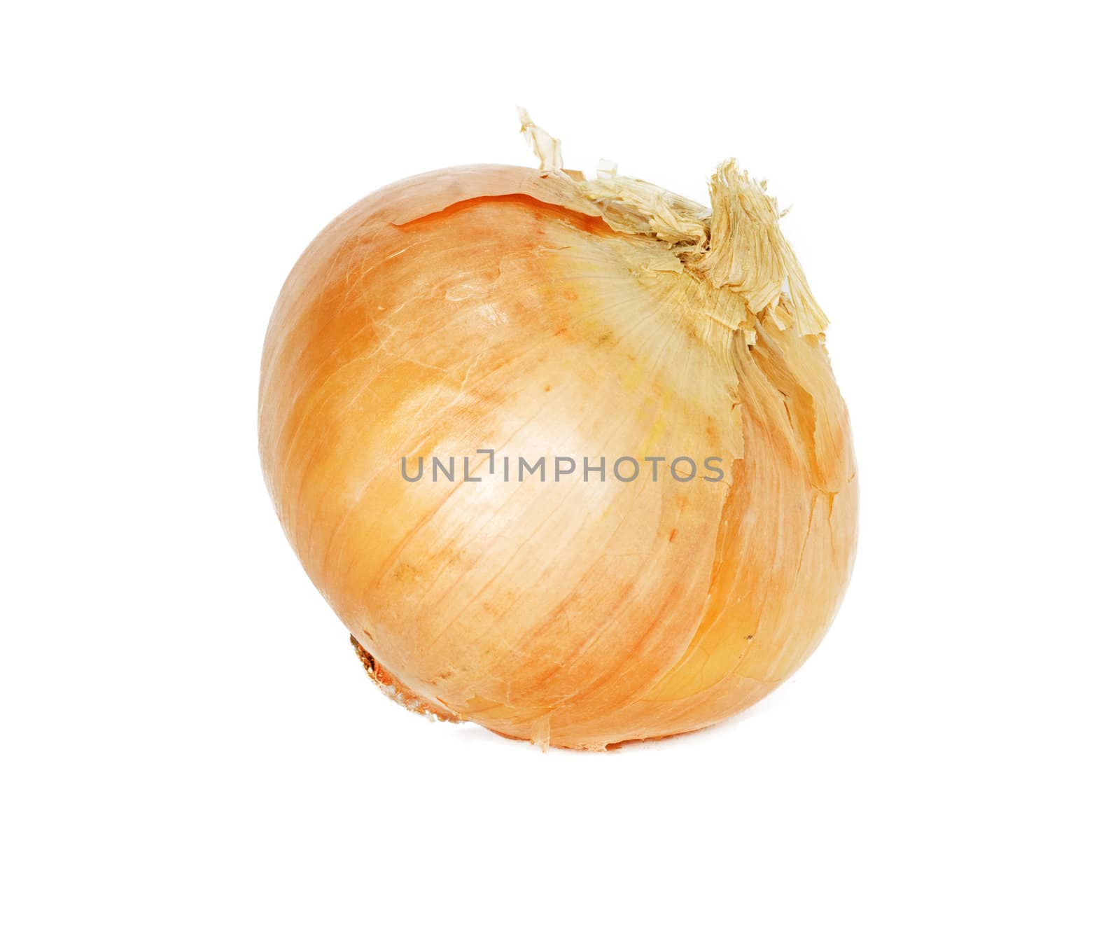 Single onion bulb isolated on white background 