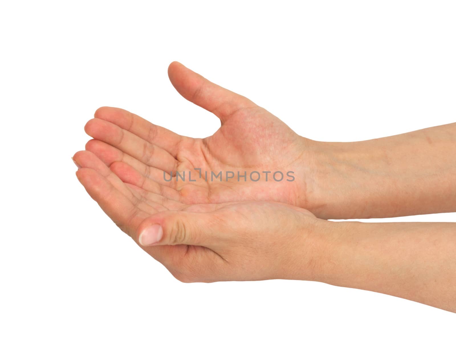 two palms of the hand on white background 