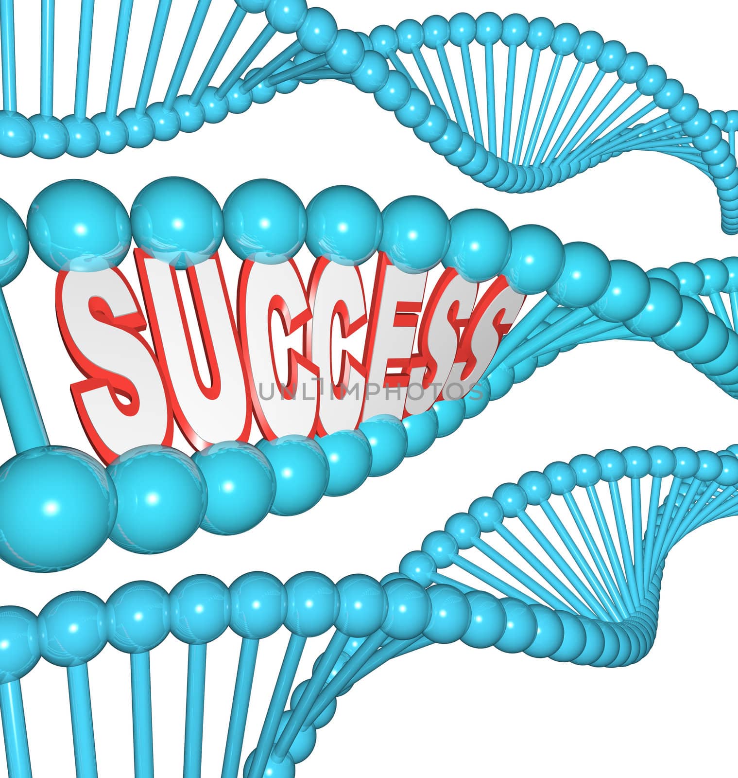 Success Word in DNA Strands Shows that Successful People are Bor by iQoncept