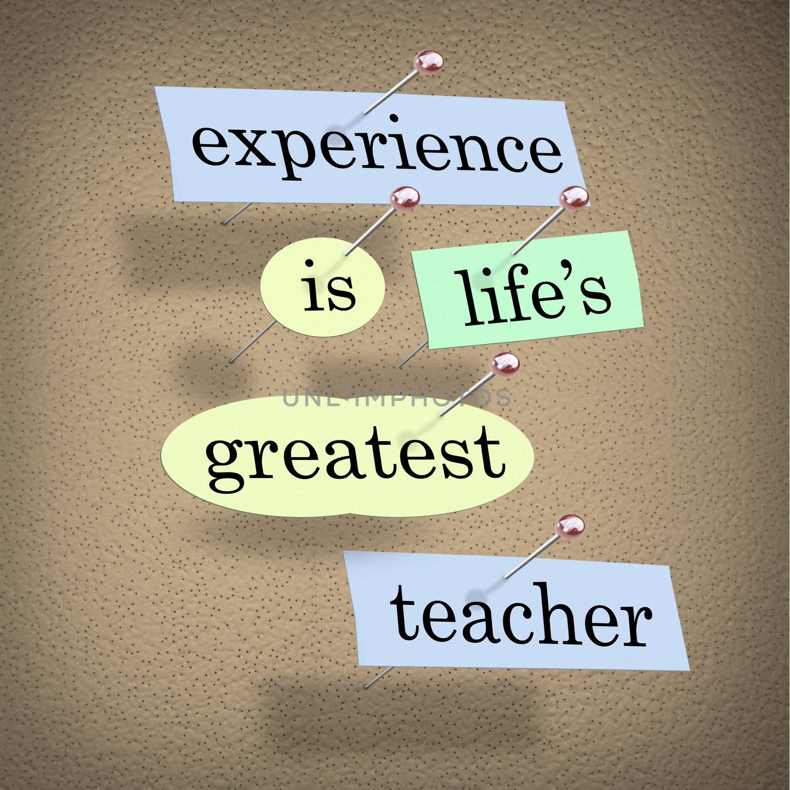 Experience Life's Greatest Teacher - Live for Education by iQoncept
